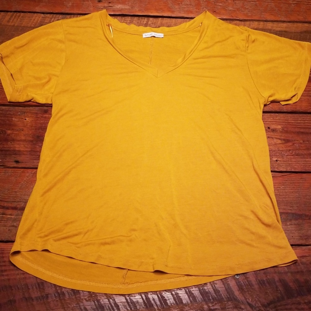 Zara Vneck Blouse